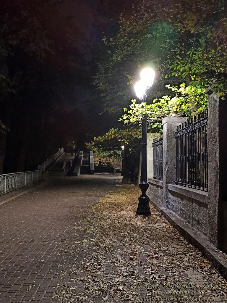 Киев вечерний. Ночь, парк, фонарь, осенняя листва... Вход на стадион «Динамо» со стороны Городского парка.