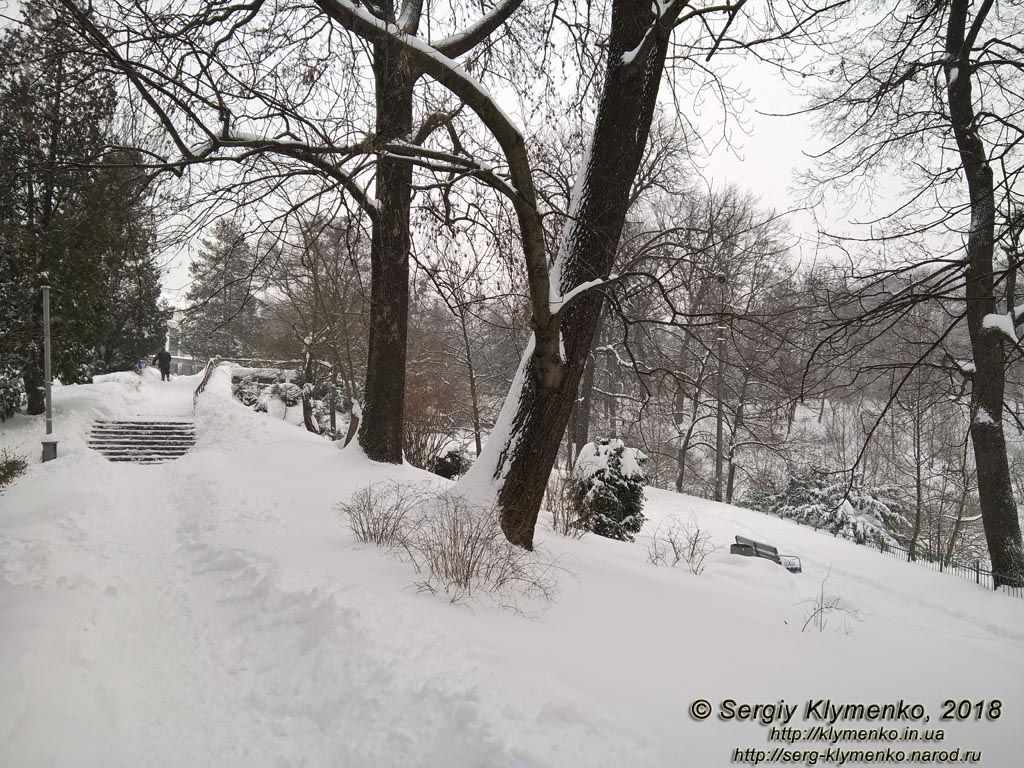 Фото Киева. Ботанический сад имени академика А. В. Фомина под снегом.