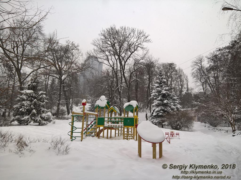Фото Киева. Ботанический сад имени академика А. В. Фомина под снегом.