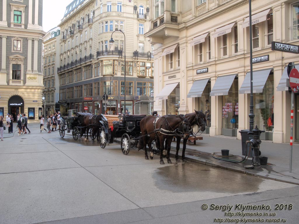 Вена (Vienna), Австрия (Austria). Фото. Фиакры (Fiaker) на пересечении улиц Jungferngasse и Грабен (Graben).