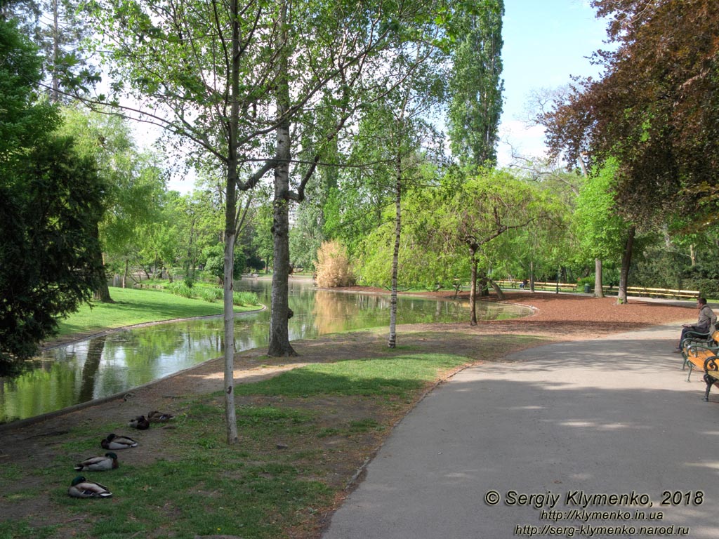 Вена (Vienna), Австрия (Austria). Фото. В Венском городском парке (Wiener Stadtpark).