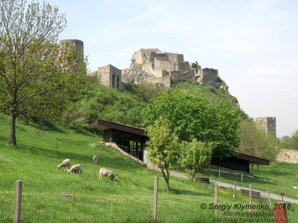 Словакия (Slovensko). Фото. Девинский град (Devinsky hrad).