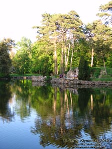 Херсонская область. Аскания-Нова. Фото. В дендропарке. Озеро, сосны и грот.