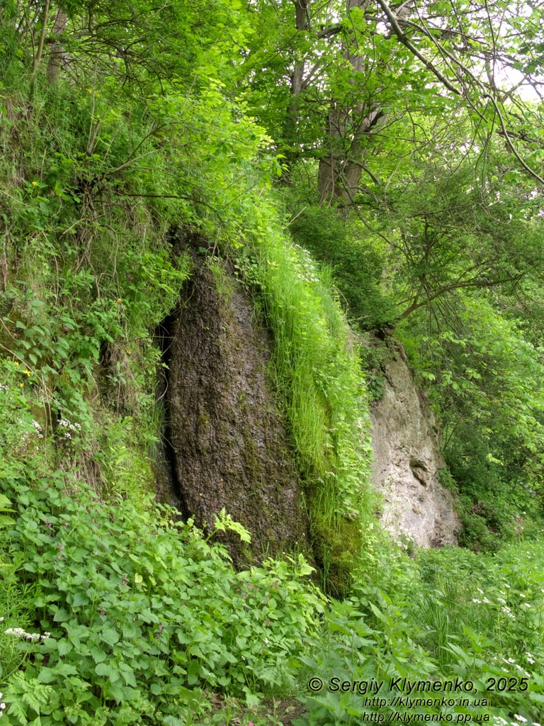 Подолье, Тернопольская область. Урочище Монастырок возле Бучача. Фото. Живописный травертиновый водопад чуть ниже сооружений древнего монастыря.