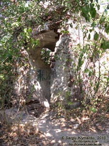 Тернопольская область, возле села Нырков. Фото. Руины Червоногородского замка (48°48'15"N, 25°35'48"E). Фрагмент.