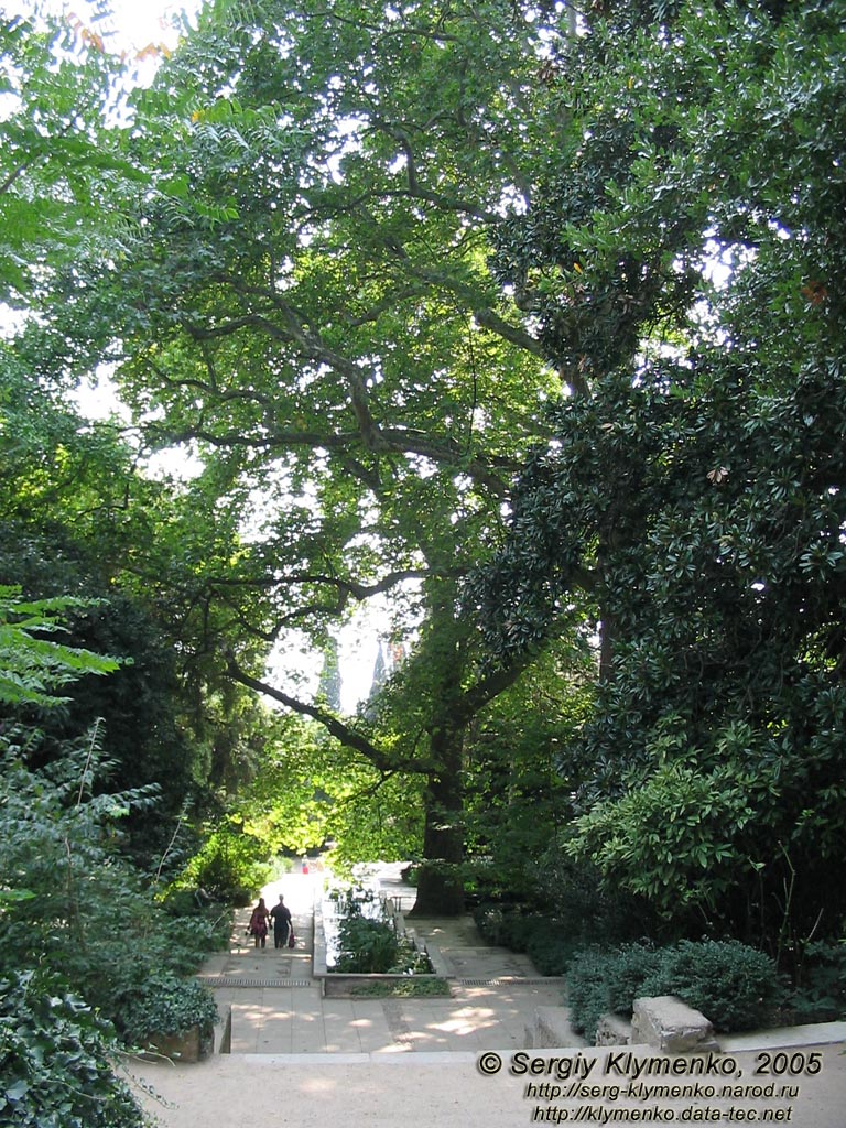 Крым. Никитский ботанический сад, вид на каскад бассейнов с его верхней площадки.