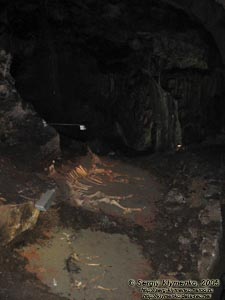 Пещера «Эмине-Баир-Хосар». Палеонтологические находки.