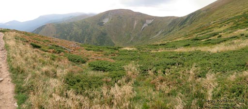 Фото Карпат. Спуск с горы Говерла «синим» маршрутом. Панорама (~100°) с небольшого полуплато, известного как «Говерлянка».