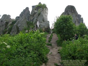 Львовская область. Близ села Урыч. Фото. Скалы Тустани вблизи.