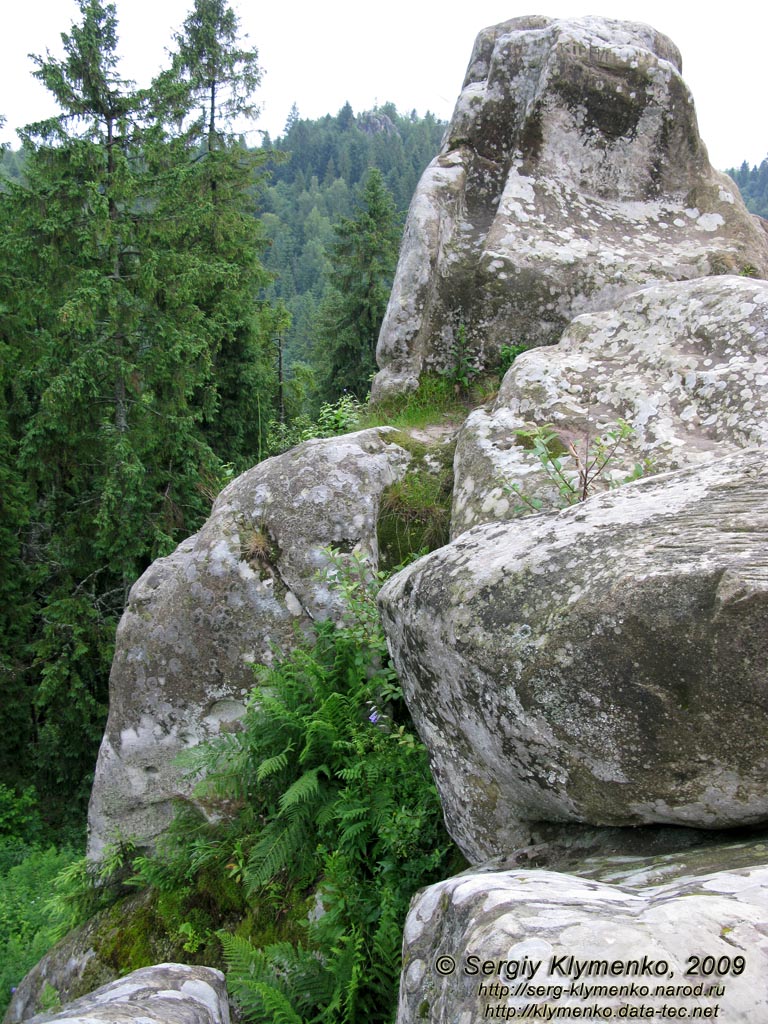 Львовская область. Близ села Урыч. Фото. Скалы Тустани вблизи.