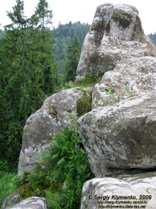 Львовская область. Близ села Урыч. Фото. Скалы Тустани вблизи.