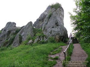 Львовская область. Близ села Урыч. Фото. Скалы Тустани вблизи.