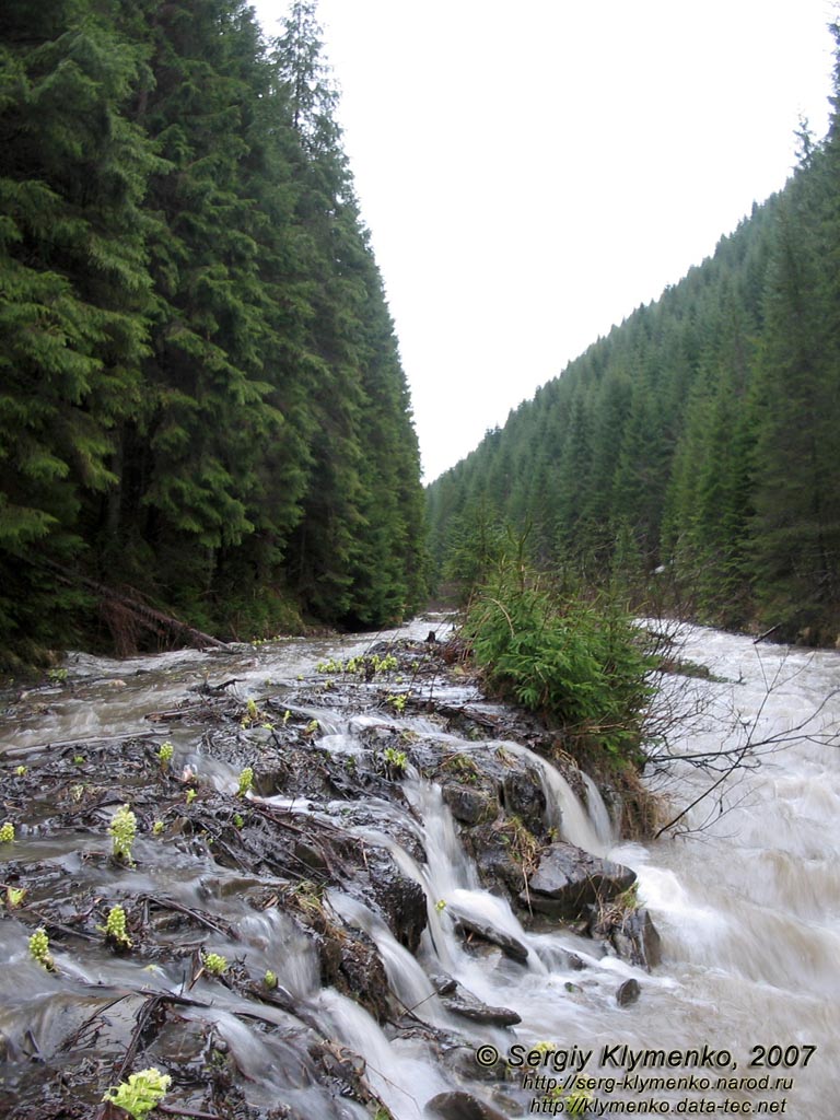 Фото Карпат, Альбин - приток Черного Черемоша. Устье ручья Альбин.