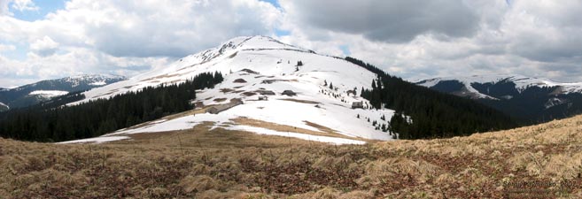 Фото Карпат, вид на вершину горы Чивчин с хребта между потоками Добрын и Альбин.