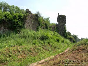 Закарпатская область. Хуст. Фото. Руины Хустского замка.