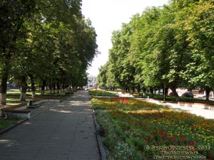 Коростышев (Житомирская область). Фото. Парк на улице Соборная Площадь (бывшая Красная Площадь).
