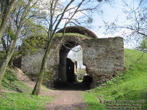 Ровенщина, село Межирич. Фото. Остатки Заславских ворот.