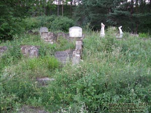 Львовская область, возле города Старый Самбир. Фото. Старосамбирское еврейское кладбище. Общий вид.