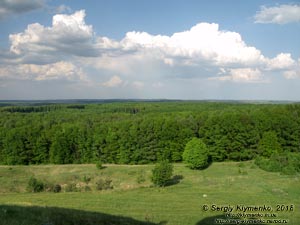 Подкамень (Львовская область). Фото. Вид от «Камня» (49°56'45"N, 25°19'53"E) в сторону Почаева и Почаевской Лавры.