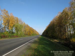 Черниговщина. Фото. Автодорога E101 (Киев-Кипти-Глухов-Бачевск-Москва) невдалеке от Батурина.