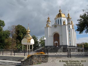 Ровно. Фото. Свято-Покровский кафедральный собор (ул. Соборная, 6).