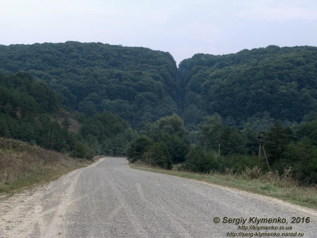 Львовская область. Село Стольско. Фото. Дорога на село Илов (49°31'58.50"N, 24°05'10.00"E).