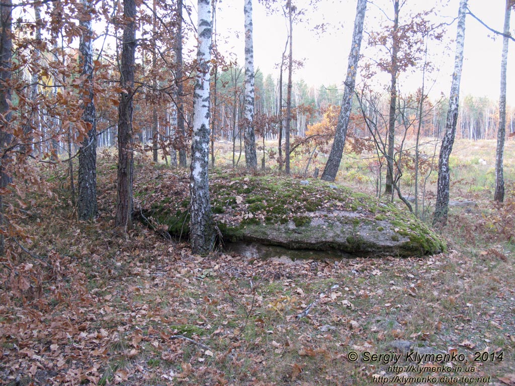 Житомирская область, Олевский район, Замысловецкое лесничество. Фото. Урочище «Каменное Село».