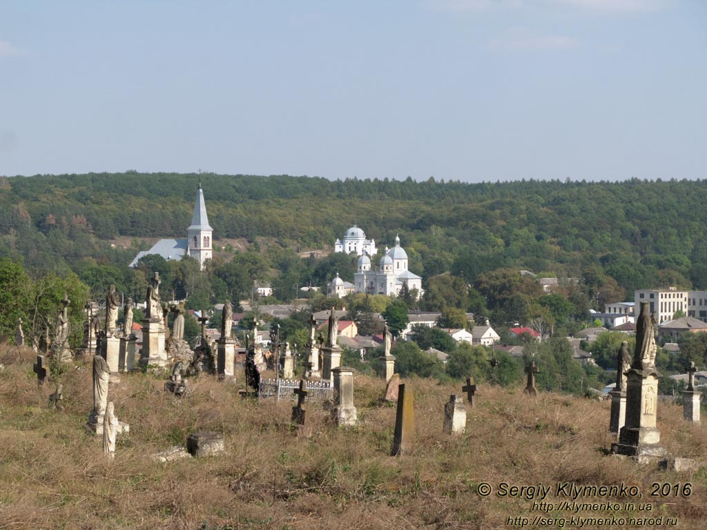 Тернопольская область, село Струсов. Фото. Старое польское кладбище и панорама Струсова. Вид с автодороги Н-18 (49°20'20"N, 25°36'26"E).