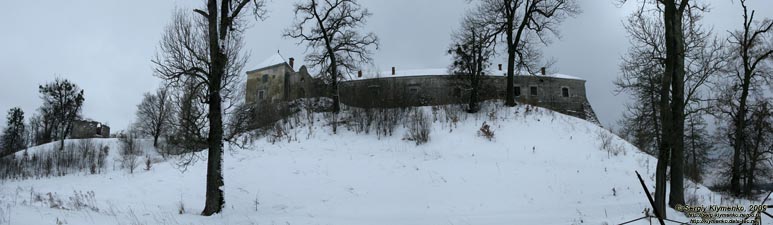 Львовская область. Свирж. Фото. Свиржский замок, XV век (вид с востока).