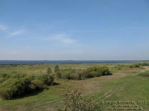 Волынь, Шацкие озёра. Фото. Вид на озеро Пулемецкое с орнитологической вышки (51°31'25.10"N, 23°45'56.50"E).