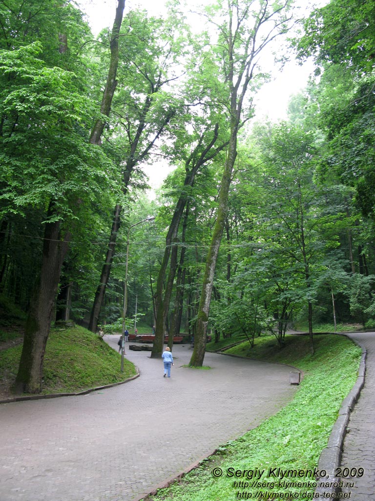 Трускавец, Львовская область. Фото. Курортный парк города Трускавец.