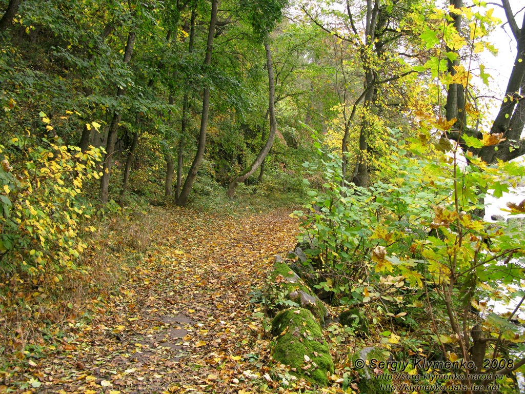 Винничина. Фото. Печора. «Печерский парк» вдоль Буга.