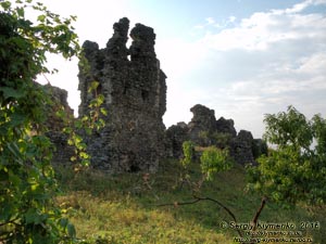 Закарпатская область. Виноградов. Фото. Руины замка (Угочанской крепости). Северо-восточная стена, вид извне замка с востока.