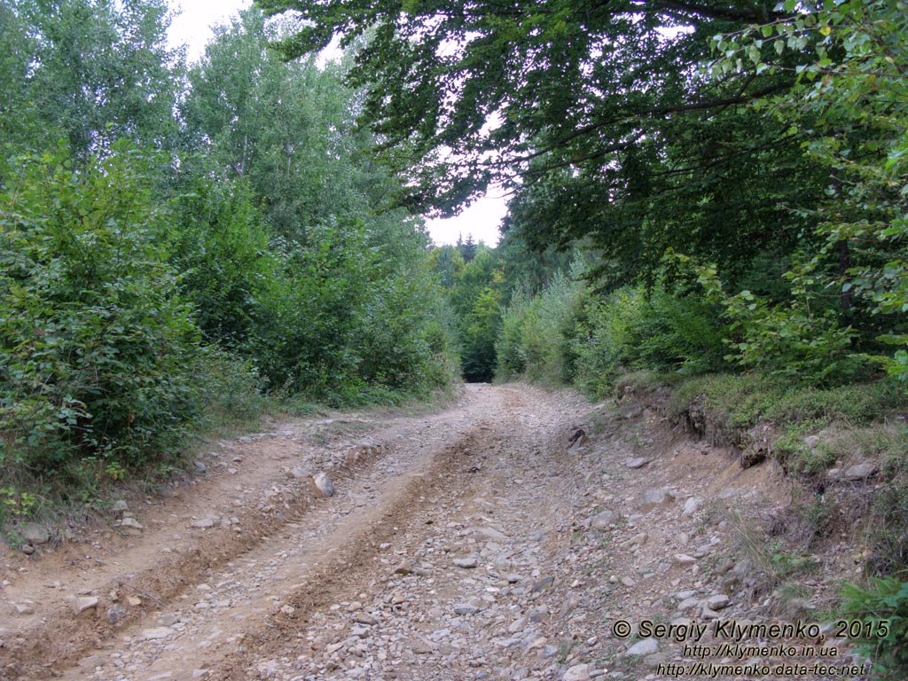 Фото Карпат, Ивано-Франковская область. Яремче. Дорога от вольерного хозяйства к водопаду «Девичьи слезы».