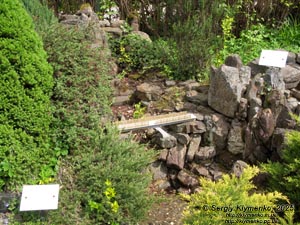 Photo of the Carpathians, Ivano-Frankivsk region. Yaremche. Park-Museum “Carpathians in Miniature”. “Probiy” waterfall on the Prut River and pedestrian bridge (1971) in Yaremche.