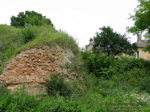 Волынь. Олыка. Фото. Замок Радзивиллов (1564 год), вид снаружи замка.