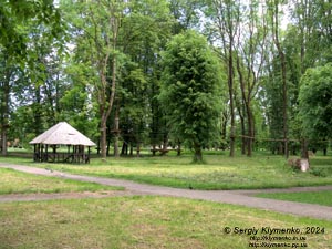 Борислав (Львовская область). Фото. В парке культуры и отдыха. Верёвочный парк.