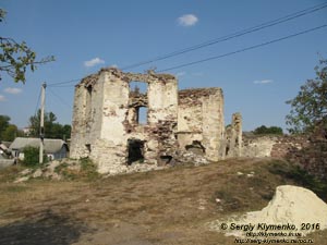 Тернопольская область, село Подзамочек. Фото. Замок Творовских (1600 год). Северо-западная башня и руины дворца. Вид снаружи крепости.