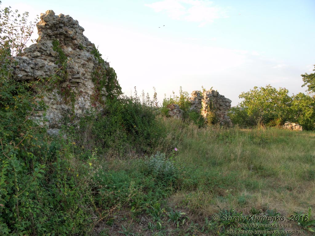 Закарпатская область. Квасово. Фото. Руины Квасовского замка (48°11'14"N, 22°46'33"E). Западая стена. Вид изнутри замка.