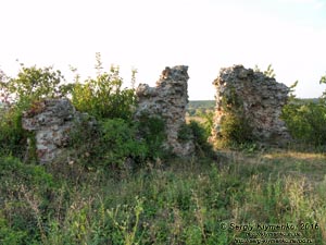 Закарпатская область. Квасово. Фото. Руины Квасовского замка (48°11'14"N, 22°46'33"E). Западая стена. Вид изнутри замка.