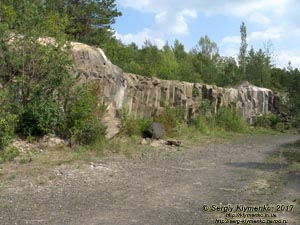 Ровенщина. Базальтовое. Фото. Базальтовые столбы.