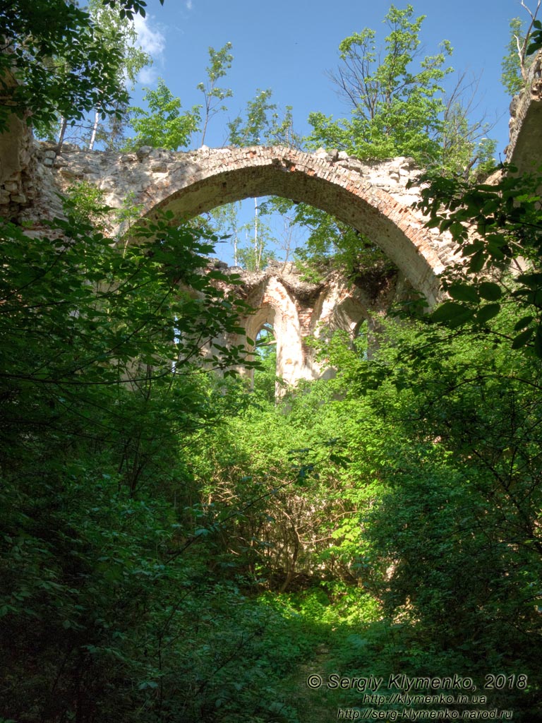 Зализцы (Тернопольская область). Фото. Руины костёла Святого Антония изнутри.