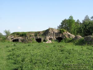 Зализцы (Тернопольская область). Фото. Руины Залозецкого замка.