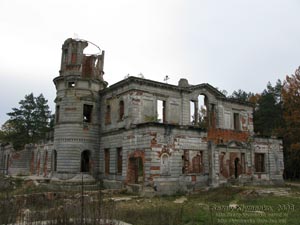 Житомирщина. Дениши. Фото. Руины дворца Терещенко.