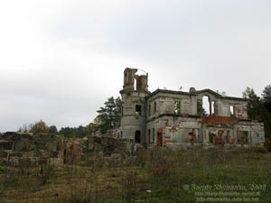 Житомирщина. Дениши. Фото. Руины дворца Терещенко.